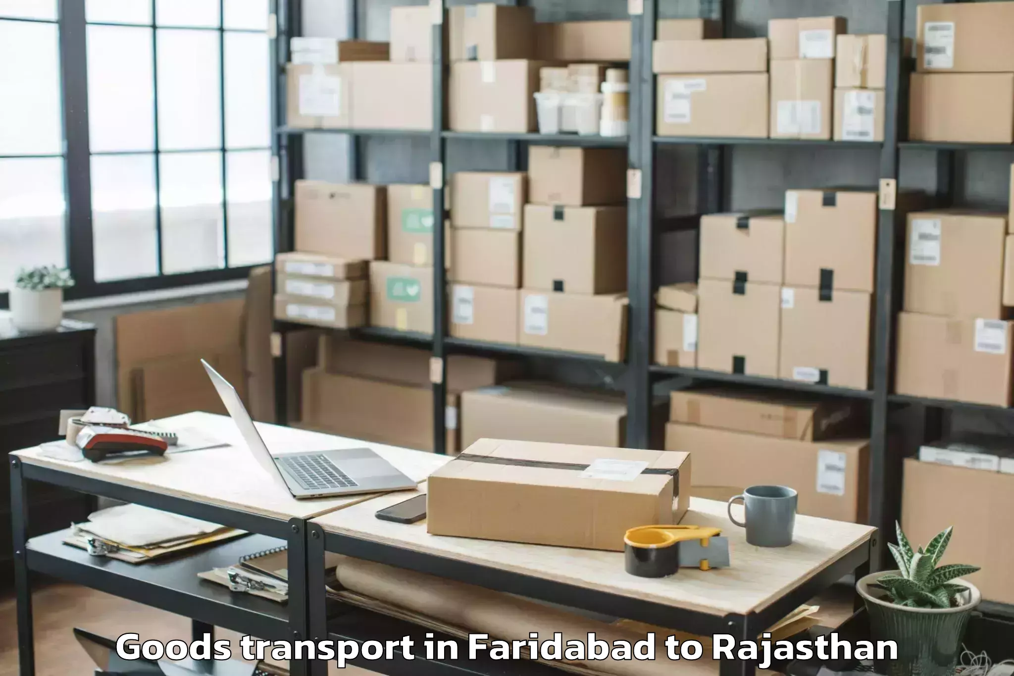 Quality Faridabad to Jhadol Goods Transport